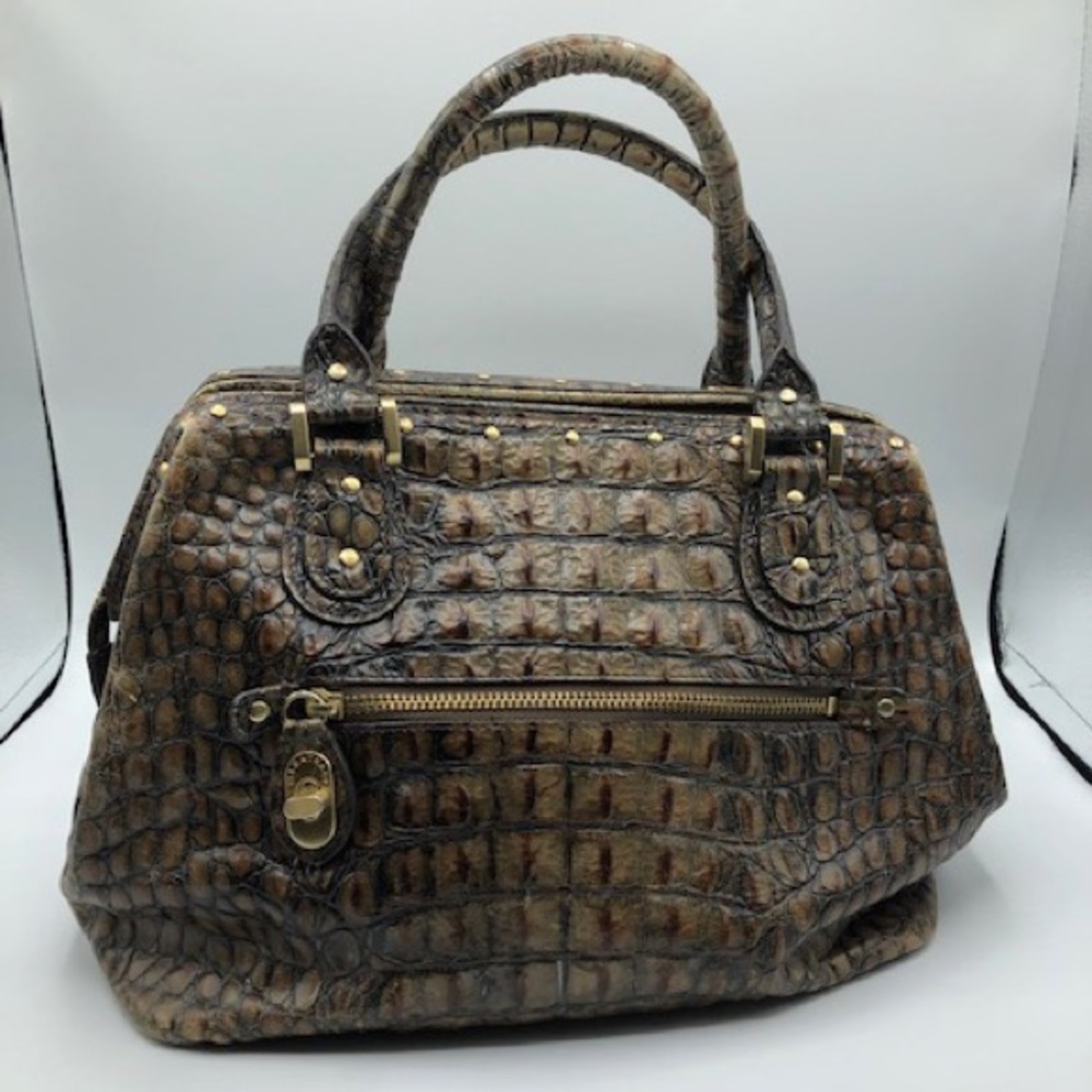 Brown Ellen Tracy Woman’s Bag